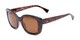 Angle of Amelia #6971 in Tortoise Frame with Amber Lenses, Women's Square Sunglasses