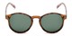 Front of Cash #2029 in Tortoise Frame with Green Lenses