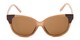 Front of Hartley #31980 in Glossy Brown Frame with Amber Lenses