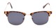 Front of Logan #6767 in Tortoise/Gold Frame with Grey Lenses