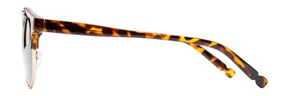 Side of Derby #5273 in Brown Tortoise/Gold Frame with Green Lenses
