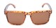 Front of Niagara #2041 in Tortoise Frame with Amber Lenses