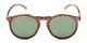 Front of Potrero #16030 in Glossy Tortoise Frame with Green Lenses