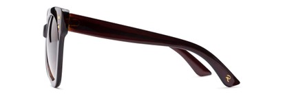 Side of Roane #34121 in Brown Frame with Amber Lenses