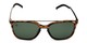 Front of BGSPT 2018 by Body Glove in Glossy Tortoise Frame with Green Lenses