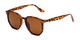 Angle of Beckett in Tortoise Frame with Amber Lenses, Women's and Men's Round Sunglasses