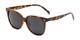 Angle of Kendra in Tortoise Frame with Smoke Lenses, Women's Round Sunglasses