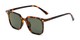 Angle of Manny in Brown Tortoise Frame with Green Lenses, Women's and Men's Square Sunglasses