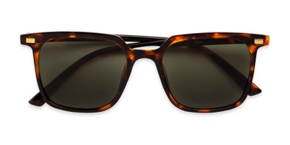 Folded of Manny in Brown Tortoise Frame with Green Lenses