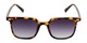 Front of Manny in Tortoise Frame with Smoke Gradient Lenses