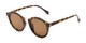 Angle of Tide #7091 in Glossy Tortoise/Gold Frame with Amber Lenses, Women's Round Sunglasses