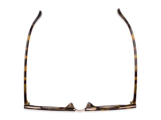 Overhead of Tide #7091 in Glossy Tortoise/Gold Frame with Amber Lenses
