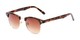 Angle of Whistler #324 in Brown Tortoise/Gold Frame with Amber Lenses, Women's and Men's Browline Sunglasses