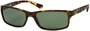 Angle of SW Polarized Style #1152 in Tan Tortoise Frame with Green Lenses, Women's and Men's  